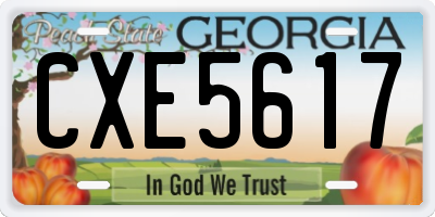 GA license plate CXE5617