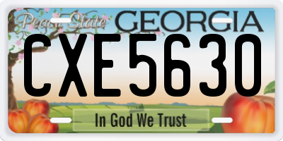 GA license plate CXE5630