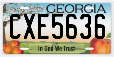 GA license plate CXE5636