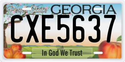 GA license plate CXE5637