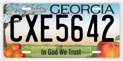 GA license plate CXE5642
