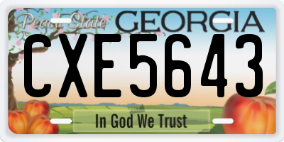 GA license plate CXE5643