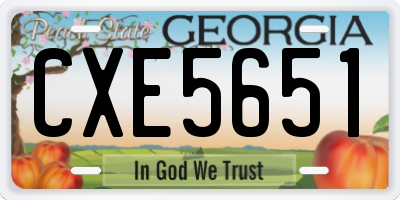GA license plate CXE5651