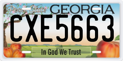 GA license plate CXE5663