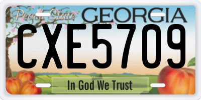 GA license plate CXE5709