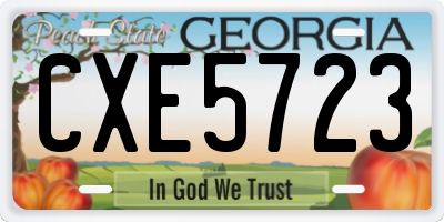 GA license plate CXE5723