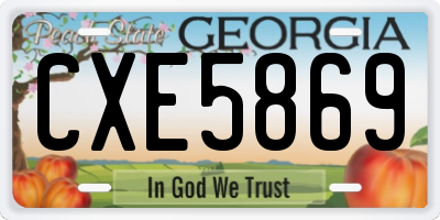 GA license plate CXE5869