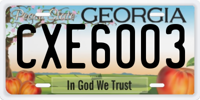 GA license plate CXE6003