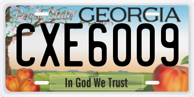 GA license plate CXE6009