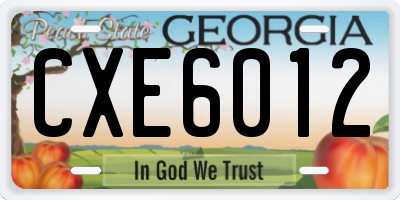 GA license plate CXE6012