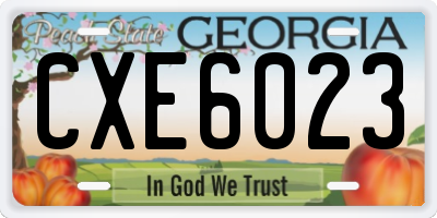 GA license plate CXE6023