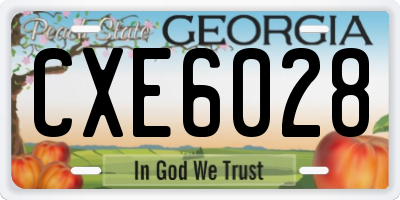 GA license plate CXE6028