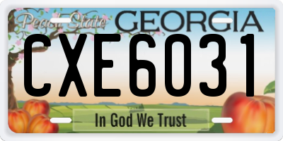 GA license plate CXE6031