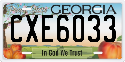 GA license plate CXE6033