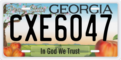 GA license plate CXE6047