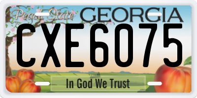 GA license plate CXE6075