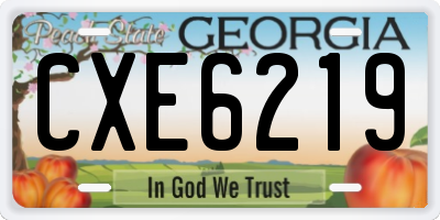 GA license plate CXE6219