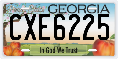 GA license plate CXE6225