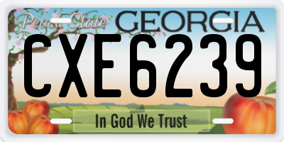 GA license plate CXE6239