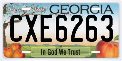 GA license plate CXE6263