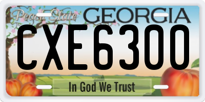 GA license plate CXE6300