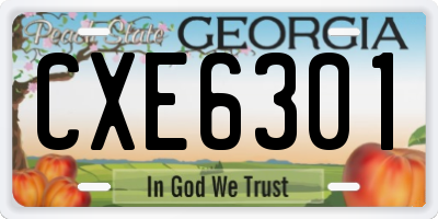GA license plate CXE6301