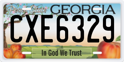 GA license plate CXE6329
