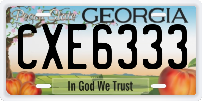 GA license plate CXE6333
