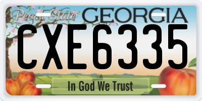 GA license plate CXE6335