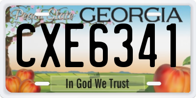 GA license plate CXE6341