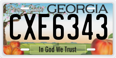 GA license plate CXE6343