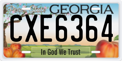 GA license plate CXE6364
