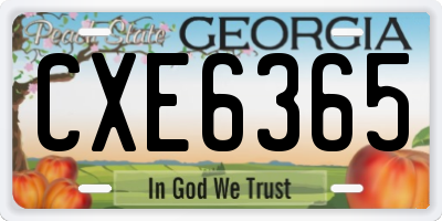 GA license plate CXE6365