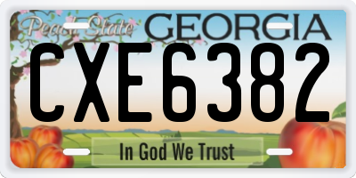 GA license plate CXE6382