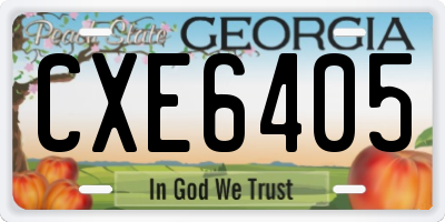 GA license plate CXE6405