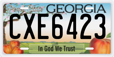 GA license plate CXE6423