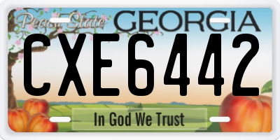 GA license plate CXE6442