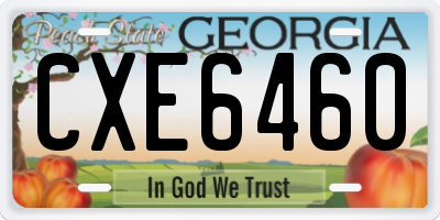 GA license plate CXE6460