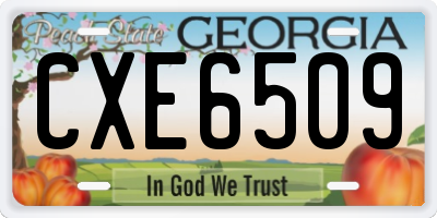 GA license plate CXE6509