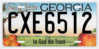 GA license plate CXE6512