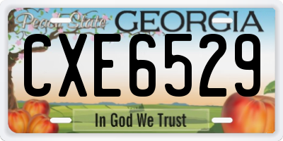 GA license plate CXE6529