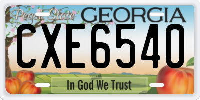 GA license plate CXE6540