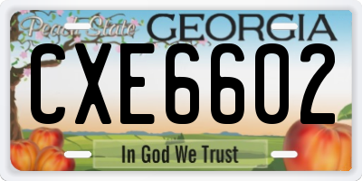 GA license plate CXE6602