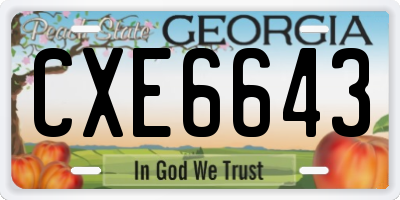 GA license plate CXE6643