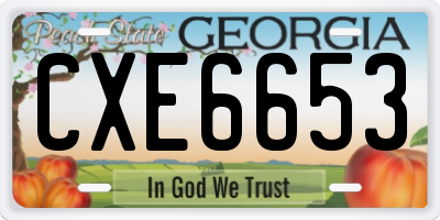 GA license plate CXE6653