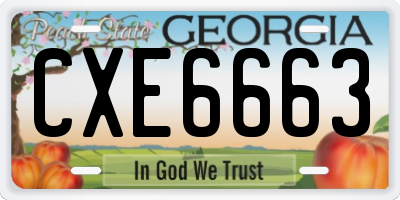 GA license plate CXE6663