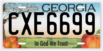 GA license plate CXE6699