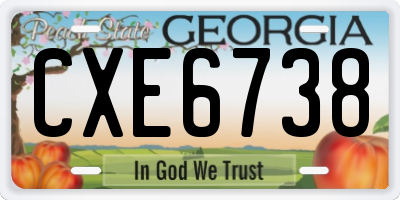 GA license plate CXE6738