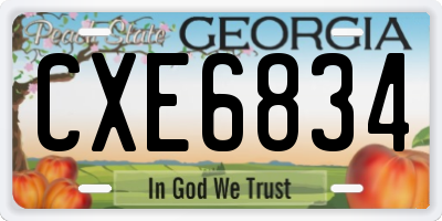 GA license plate CXE6834