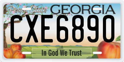GA license plate CXE6890